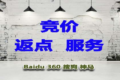 专业SEM托管公司案例分享：提升流量秘诀